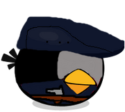 Silver Shadow-Bird