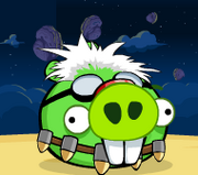 Dr. Pig