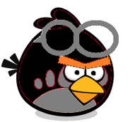 Black Goggle Bird