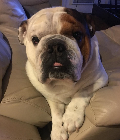 File:Clyde.png
