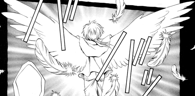 File:Shinon's Anima.png