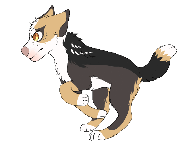 Image Running dog animation by phewmonsutad9qkxjq.gif Animal Jam