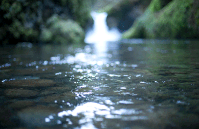 Water...