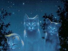 Starclan-starclan-31014905-1024-768