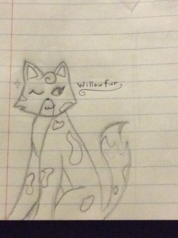 File:Willow the Pillow.jpeg