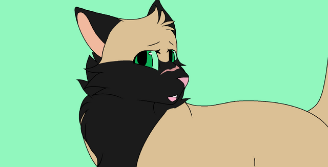 File:Partzz 3.png