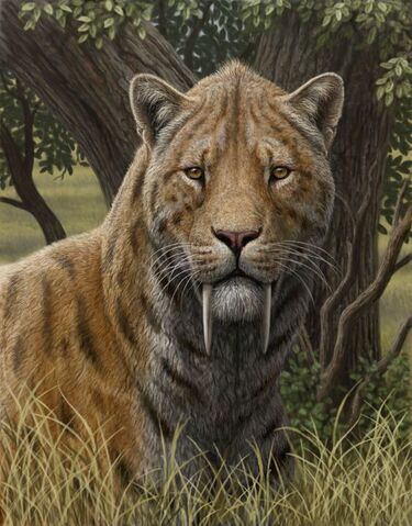 File:02f4632b27d3aa30b7148181247995fc.jpg