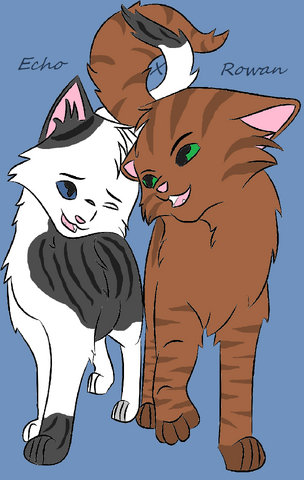 File:Echo X Rowan.png