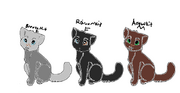 Kits