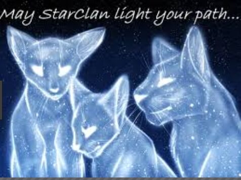 File:Starclan-0.jpg