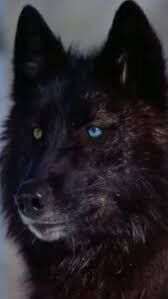 Images (14)