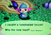Longlocust (PG)