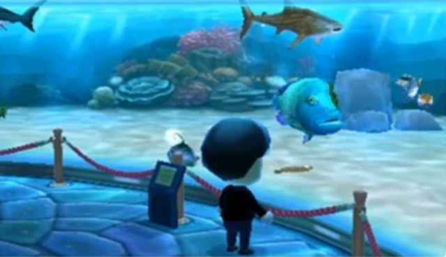 File:Whale shark.png