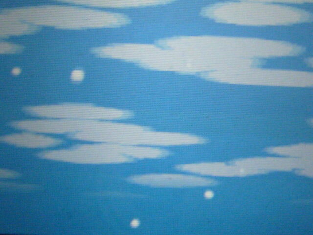 File:Snowy.jpg