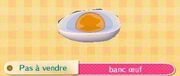 Banc oeuf