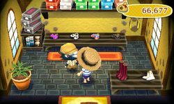 Animal Crossing New Leaf Fish Wendell S Painting Animal Crossing New Leaf Fish Wendell S Painting