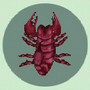 ScorpionInfo