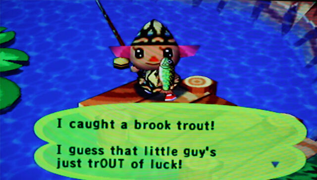 File:Brook trout PG.jpg