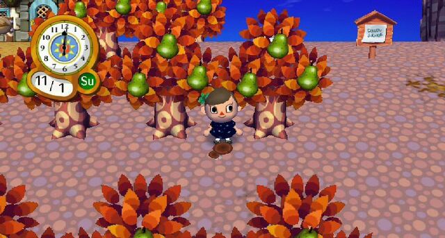 File:AnimalCrossing049.jpg