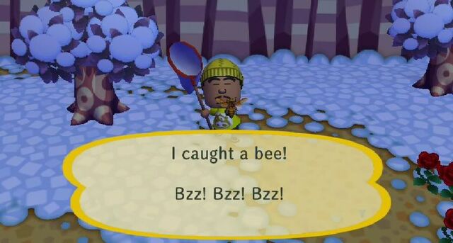 File:Catching a Bee.jpg