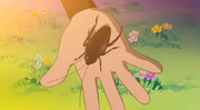 000 cockroach