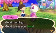 Morning Pinky