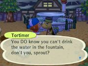 Fountain&tortimer