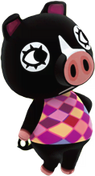 Agnes HHD