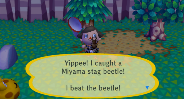 File:Miyama.png