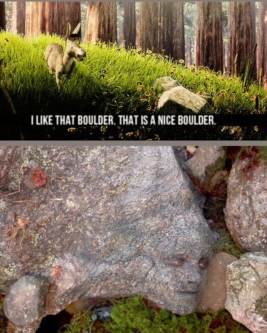 File:Boulder.jpg