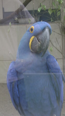 File:DSC02965.jpg