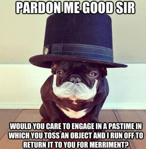 File:Pardonmegoodsir?.png