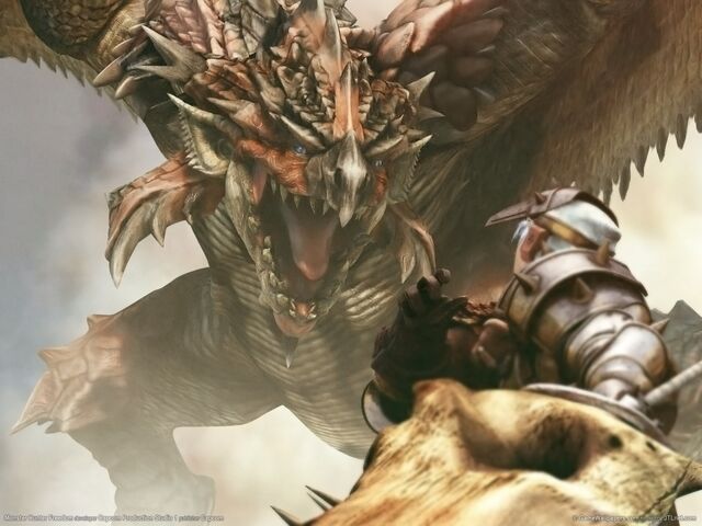 File:Monster-hunter--freedom-wallpapers 19513 1024x768.jpg