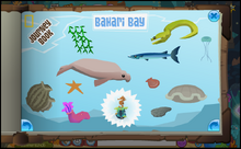 Journey Book of Bahari Bay