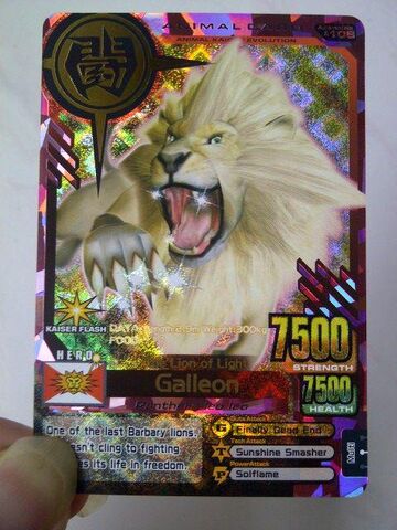 File:GalleonCard.jpg