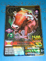 Don bison 2