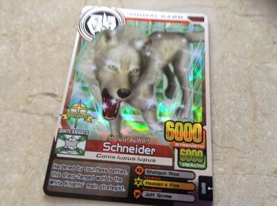 Schneider of White Knights