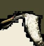 Quetzalcoatlus