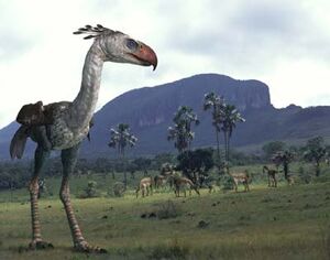 Phorusrhacos