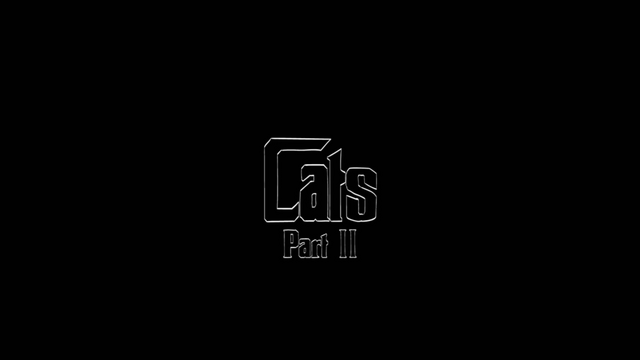 File:Cats Part 2.png