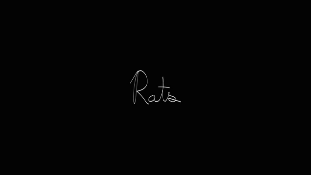 File:Rats 16 Title.png