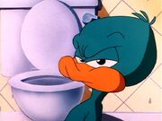 Baby Plucky