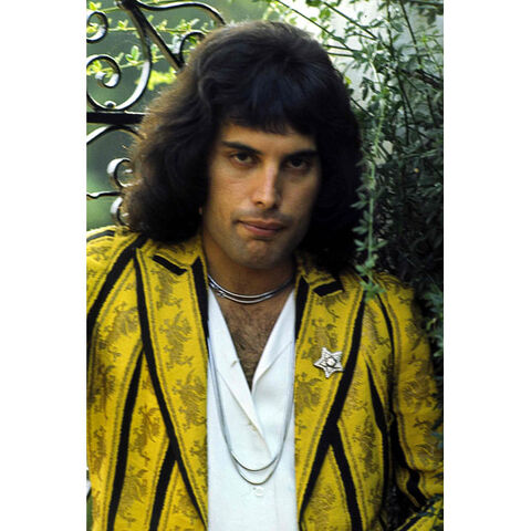 File:Freddie-mercury-19 1988504i.jpg