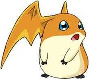 Patamon-1-