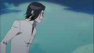 Uryu watching Ichigo fight