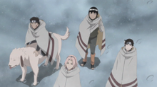 Sakura's team