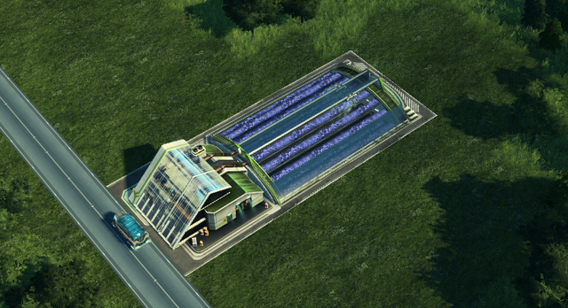 File:Flax Plantation.png