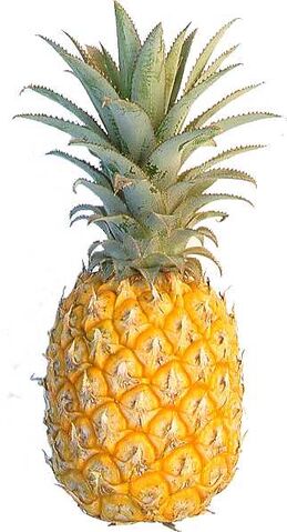 File:Pineapple-5535.jpg