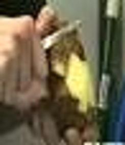 File:Potato being peeled.jpg