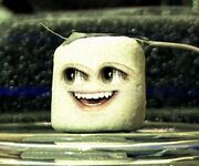 20110219001053!Marshmallow.jpg